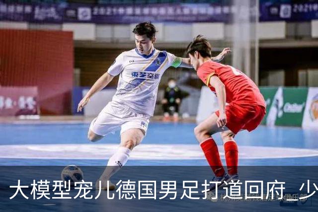 大模型宠儿德国男足打道回府 少了人性观察数据等于废纸